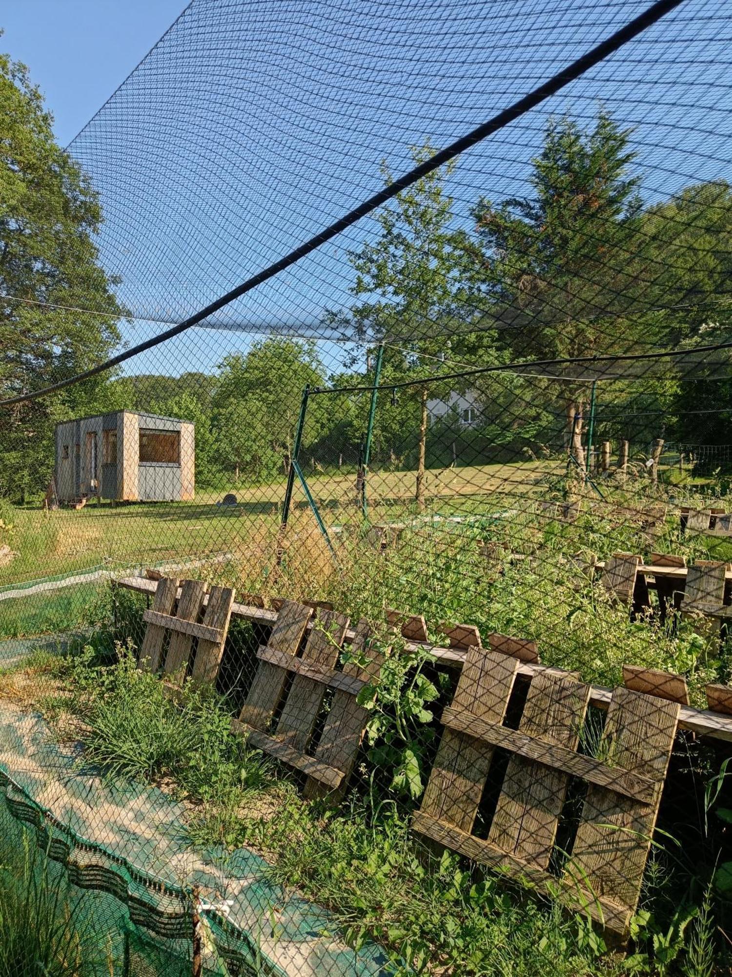 L'Escargoterie De La Forge - Immersion Champetre Uzemain エクステリア 写真